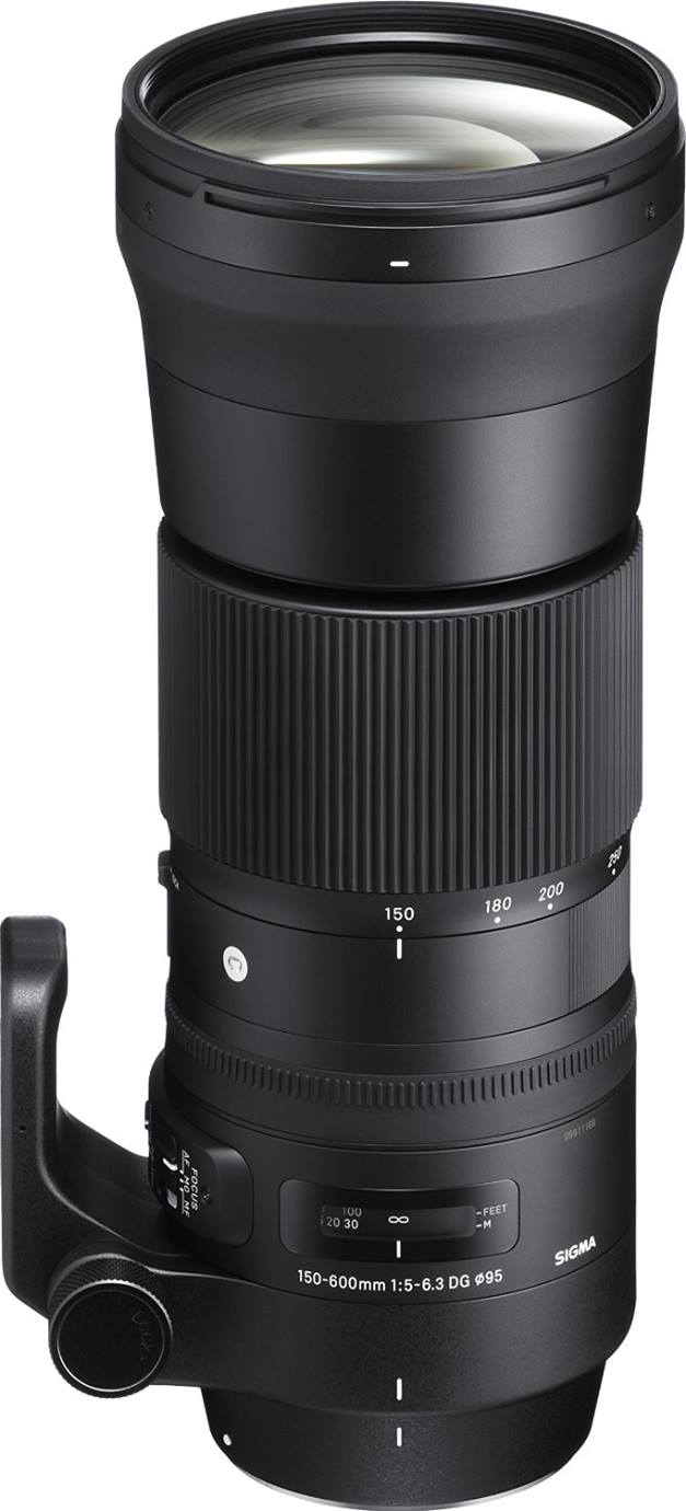 Sigma 150-600mm Contemporary