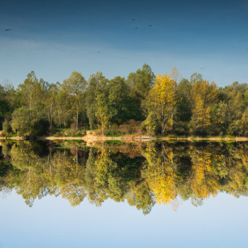 Retourné d'automne