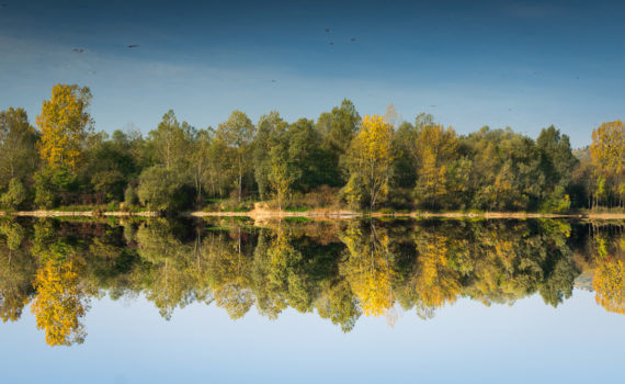 Retourné d'automne