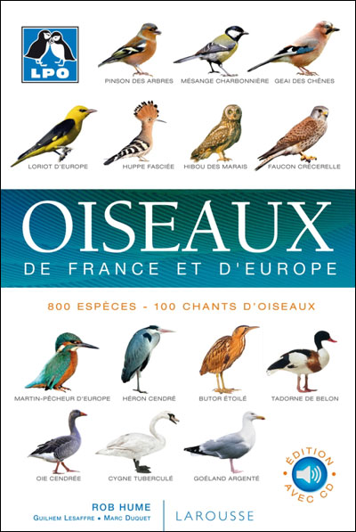 Avoir Un bon Guide Ornithologique Pour D buter S bastien Majerowicz avoir-un-bon-guide-ornithologique-pour-d-buter-s-bastien-majerowicz