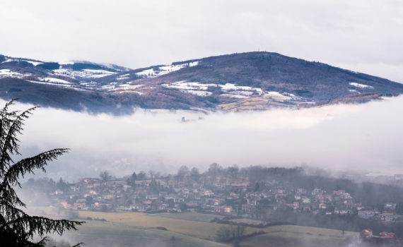 Paysage hivernal