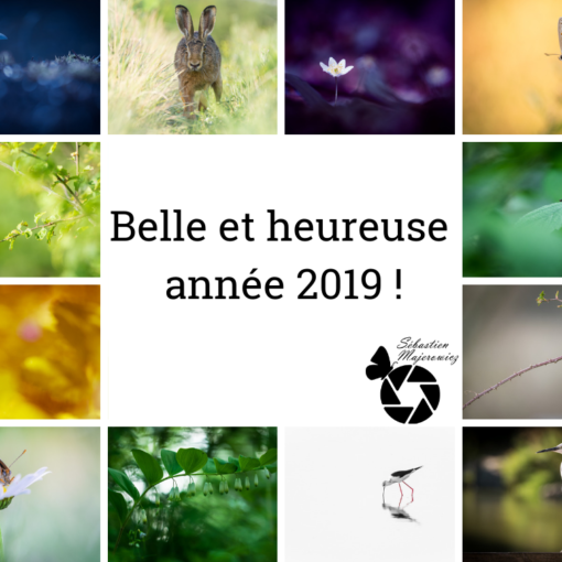 Bonne année 2019