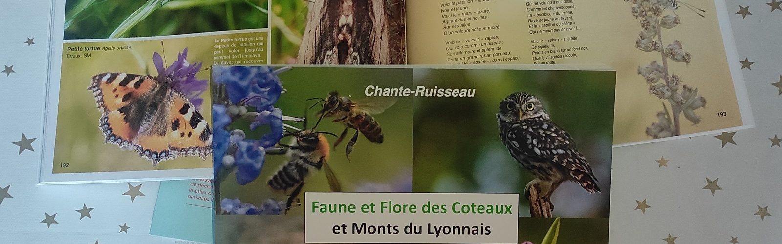 Faune et flore des coteaux et mont du lyonnais