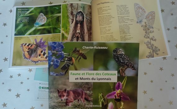 Faune et flore des coteaux et mont du lyonnais